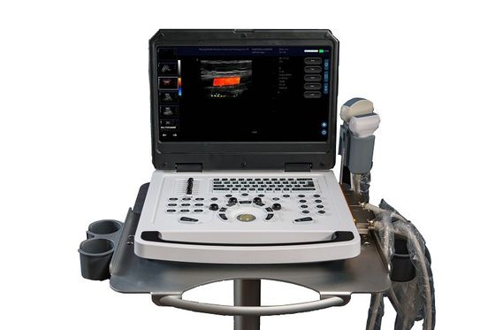CE draagbare kleuren-doppler ultrasoon scanner OEM