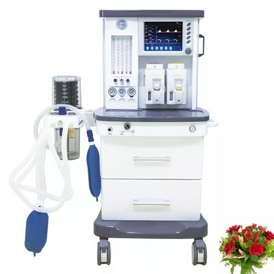 Portable Maquina DE Anestesia 10,4 Duimlcd de Machine van de het Schermanesthesie